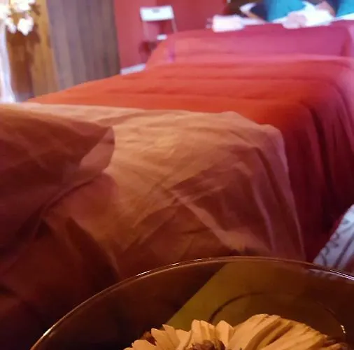 Couette-café Holiday Art Naples